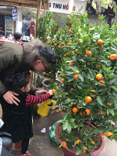 Chợ hoa Hàng Lược nhộn nhịp những ngày cuối năm ảnh 8