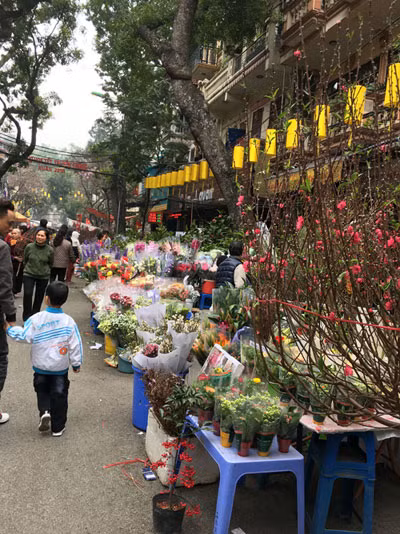 Chợ hoa Hàng Lược những ngày giáp Tết. Chợ hoa Hàng Lược những ngày giáp Tết.