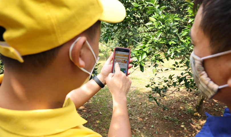 Học viên sẽ được tiếp cận với các nội dung về bán hàng trực tuyến, tiếp thị trực tuyến trên mạng xã hội.