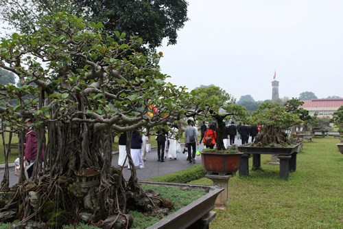 Hương vị Tết truyền thống ở Hoàng thành Thăng Long ảnh 6