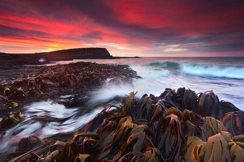 Ảnh đẹp: Thiên nhiên kỳ vĩ của New Zealand ảnh 4