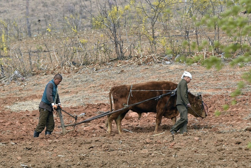Triều Tiên: Sự khác biệt giữa cuộc sống ở Bình Nhưỡng và vùng nông thôn ảnh 3