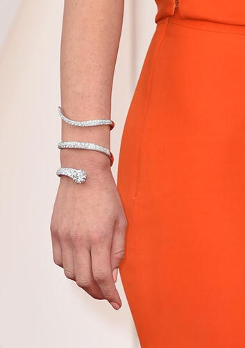 Choáng với những món trang sức quý giá của sao Hollywood tại Oscar ảnh 5