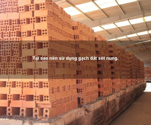 Phê duyệt sử dụng gạch đất nung là đi ngược chủ trương về bảo vệ môi trường ảnh 1
