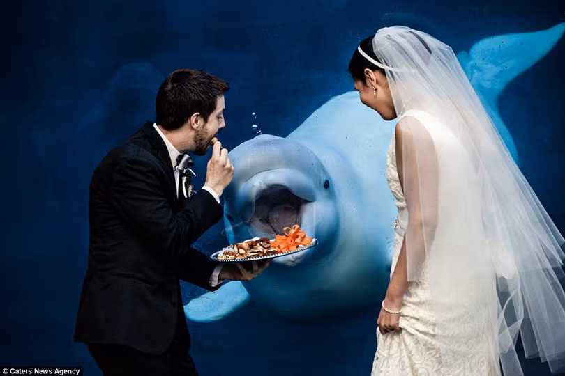 Hàng nghìn tác phẩm dự thi ghi lại những khoảnh khắc khó quên trong ngày vui của các cặp vợ chồng được gửi đến.