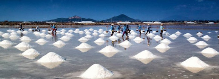 Cánh đồng muối Việt: Nơi ngắm hoàng hôn đẹp nhất thế giới ảnh 3