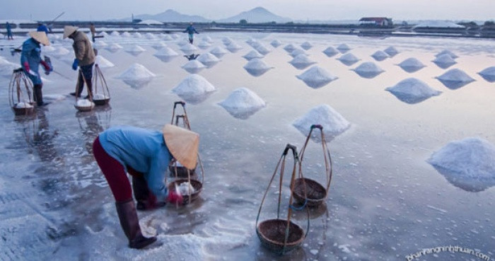 Cánh đồng muối Việt: Nơi ngắm hoàng hôn đẹp nhất thế giới ảnh 2