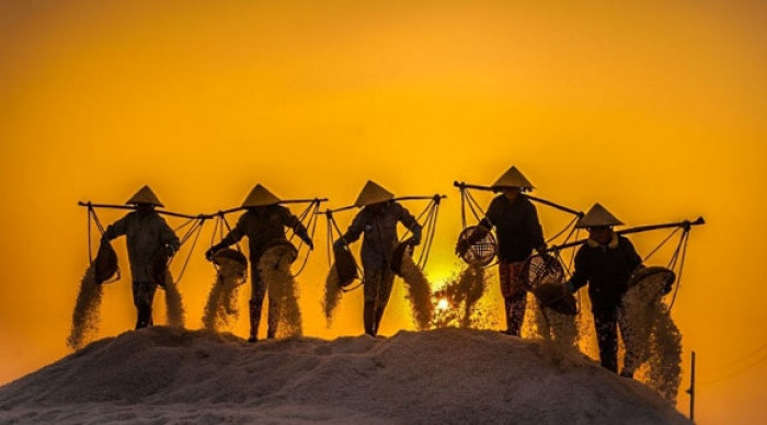 Cánh đồng muối Việt: Nơi ngắm hoàng hôn đẹp nhất thế giới ảnh 8