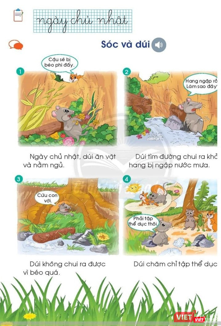 Ảnh chụp từ bản điện tử.