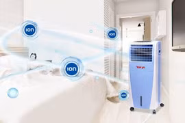 Khả năng làm sạch không khí.