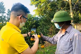 Hàng triệu nông dân học cách kinh doanh trên sàn thương mại điện tử