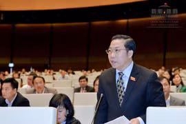 Đại biểu Quốc hội Lưu Bình Nhưỡng.
