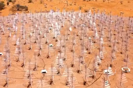 Hệ thống kính thiên văn vô tuyến SKA ở Australia. Ảnh video Bộ Công nghiệp, Khoa học và Tài nguyên Australia.