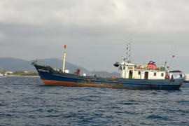Ảnh minh họa. (Nguồn: TTXVN)