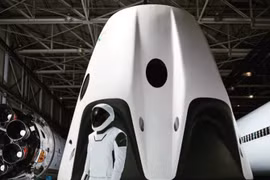 Ảnh: Elon Musk