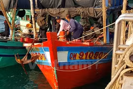 Tàu cá của ngư dân Việt Nam bị Malaysia bắt giữ (ảnh vietnam+)