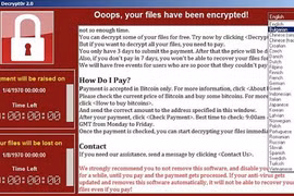 Ảnh chụp màn hình: Internet