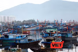 Trước diễn biến của cơn bão số 6, các tỉnh ven biển đã thông báo khẩn về bão số 6 cho tàu thuyền biêt tìm nơi trú tránh