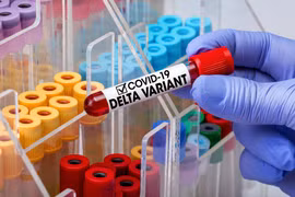 Giới khoa học Nhật Bản tin rằng biến chủng Delta đang tự đi đến chỗ diệt vong một cách tự nhiên (Ảnh: Shutterstock)