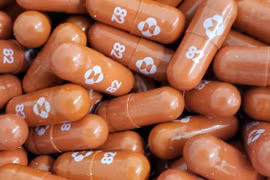 Molnupiravir được Ấn Độ cấp phép sử dụng, nhưng chưa có trong phác đồ điều trị COVID-19 ở nước này (Ảnh: Reuters)