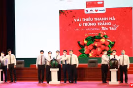 Đại diện các cơ quan, bộ ngành thực hiện bấm nút khởi động chương trình đưa vải thiều và nông sản Hải Dương lên các sàn thương mại điện tử