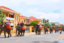 Đoàn rước dâu trên lưng voi dạo qua thị trấn Liên Sơn, huyện Lắk