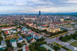 Ảnh minh họa (Nguồn: Internet)