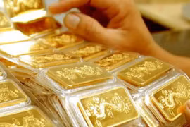 Những doanh nhân tuổi Nhâm Dần thành danh