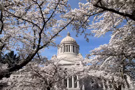 Sau một thời gian dài “im hơi”, nhóm tin tặc Nga lại mở một cuộc tấn công mới vào Washington, có ít nhất một đại sứ quán châu Âu trở thành “nạn nhân”. Ảnh: Forbes