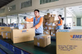 Không có mã bưu chính trên bì thư, bưu kiện nên việc phân loại ở Việt Nam hoàn toàn phải làm thủ công. Ảnh: báo Đầu tư