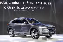 Thaco hiện có quy mô lớn nhất, doanh số và thị phần luôn dẫn đầu thị trường và là doanh nghiệp duy nhất đến thời điểm này sản xuất, phân phối đầy đủ các chủng loại ô tô