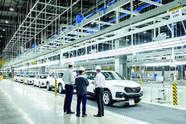 Sản xuất trong nước đang đẩy mạnh đầu tư mở rộng. Ảnh: Nguyễn Hà 
