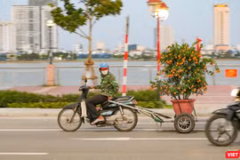Chở Xuân về nhà