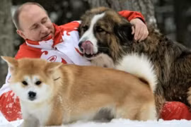 Ông Putin