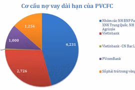 Ai là chủ khoản nợ gần 8.000 tỷ của Đạm Cà Mau?