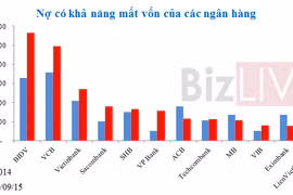 Nợ có khả năng mất vốn của hệ thống ngân hàng ngày một phình to