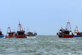 Tàu cá Trung Quốc