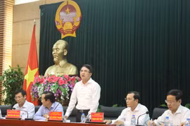 Ông Lê Khắc Nam: “chúng tôi sẽ dát vàng từng viên gạch nếu dùng cả 10.000 tỉ để xây trung tâm hành chính” 