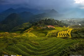 Mây sà xuống những thửa ruộng bậc thang đẹp sững sờ ở miền núi Việt Nam