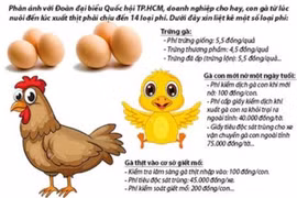 Hình minh họa