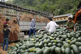 Hầu như năm nào cũng xảy hiện tượng ùn tắc nông sản ở cửa khẩu Tân Thanh (Lạng Sơn). Việt Nam luôn nhập siêu từ Trung Quốc và số liệu thống kê của hai bên vênh nhau tới 20 tỷ USD