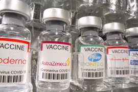 Rất ít doanh nghiệp dược Việt Nam được hưởng lợi từ hoạt động nhập khẩu vaccine hoặc thuốc điều trị Covid-19 (Ảnh minh họa - Nguồn: Internet)
