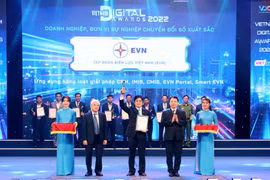 Ông Võ Quang Lâm - Phó Tổng giám đốc EVN đại diện tập đoàn đón nhận giải thưởng