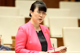Bà Hường là đại biểu Quốc hội hai khoá 12 và 13 và là một trong 17 doanh nhân trúng cử đại biểu Quốc hội khoá 14