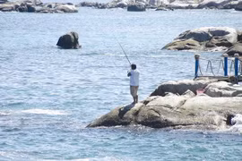 Bãi biển Cà Ná, tỉnh Ninh Thuận. Ảnh: diadiemdulich.com