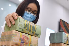 Nhiều ngân hàng tính chia cổ tức tiền mặt năm 2024