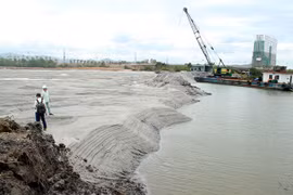 Rừng ngập mặn tại đầm Thị Nại bị san lấp để làm dự án du lịch sinh thái và biệt thự. (Ảnh: Thanh niên)