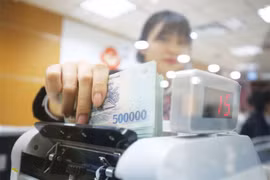 Ảnh minh họa (Nguồn: Internet)