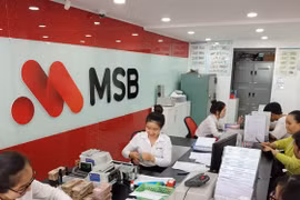 Ảnh minh hoạ (Nguồn: Internet)