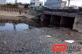 Kênh Đa Cô, nơi xảy ra hiện tượng cá chết hàng loạt